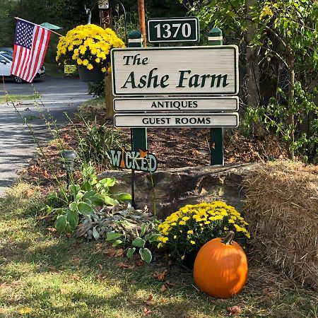 Marshall The Ashe Farm B&B 외부 사진