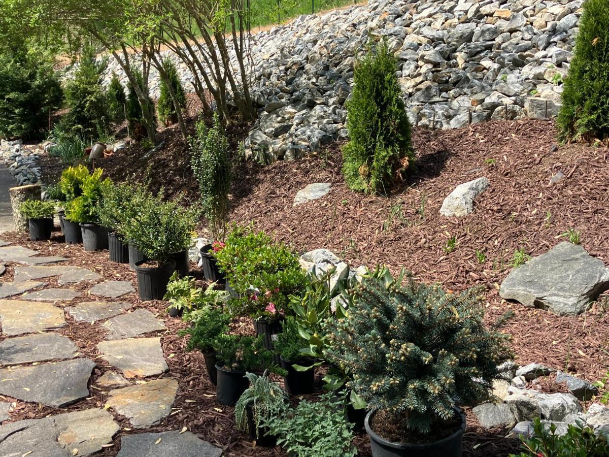 Marshall The Ashe Farm B&B 외부 사진